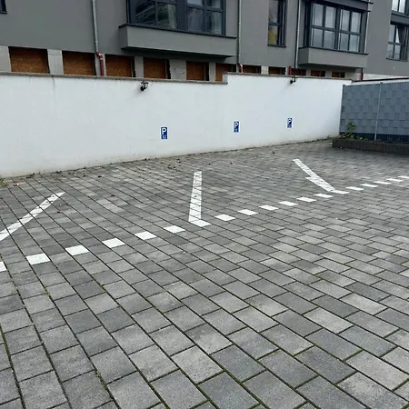 Interassist Germany 1